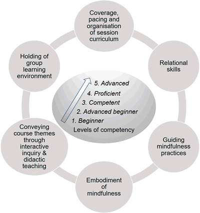 Domains and competence levels of the MBI:TAC